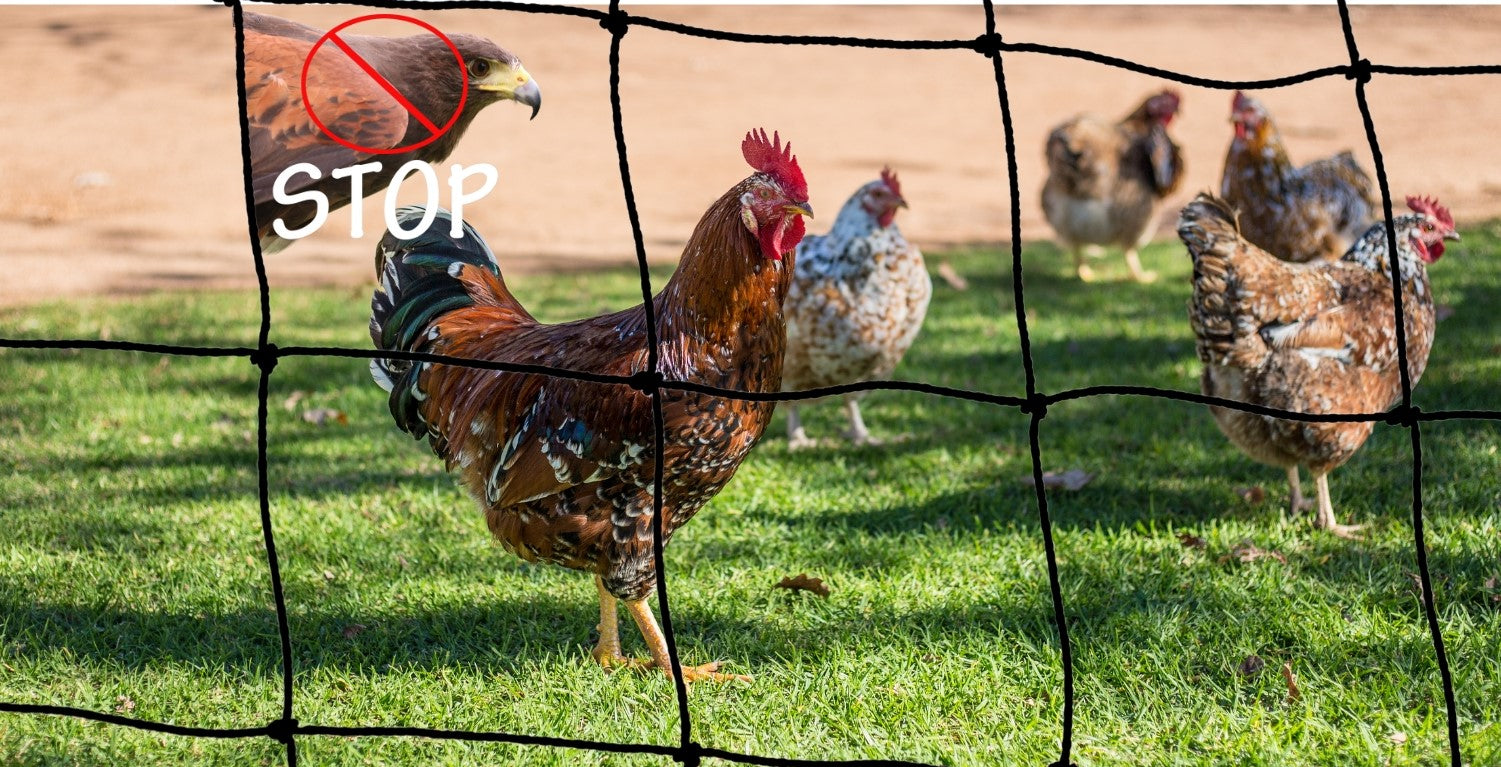 Vogelschutznetz: Die perfekte Lösung für Garten, Balkon und Landwirtschaft