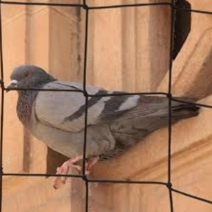 Taubenschutznetz für Gebäudesicherung 1mm Seilstärke Masche 5cm schwarz